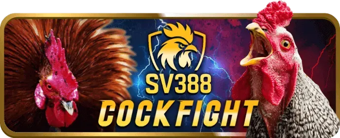 Kèo Wala đá gà sv888